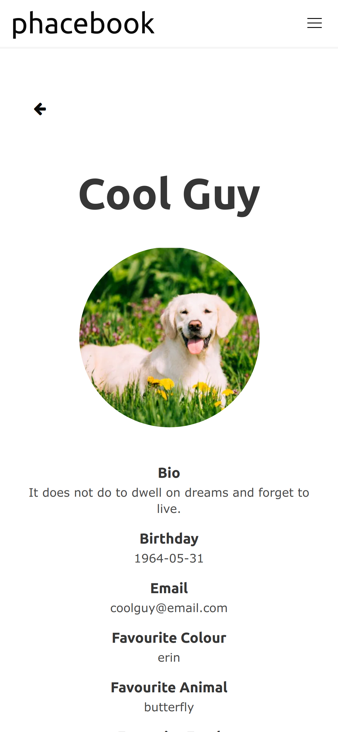 Phacebook Screenshot (Mobile Version)